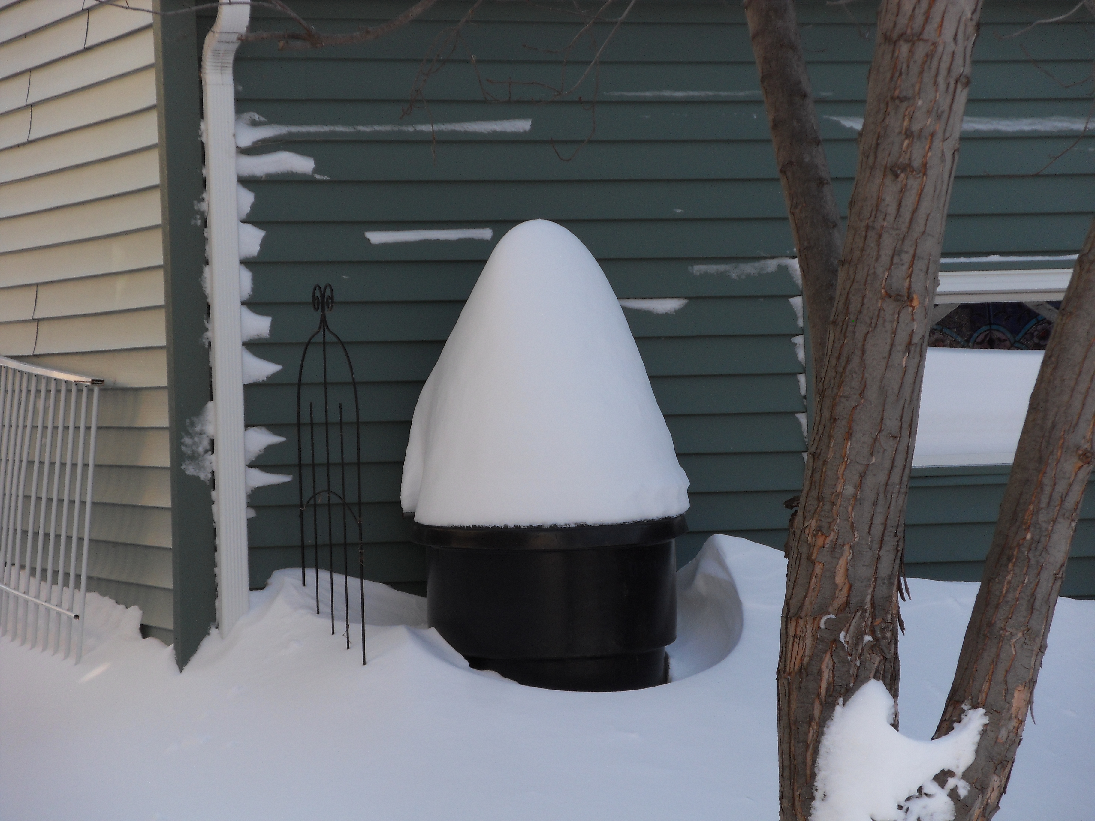 SDC11181 alex snow on compost bin